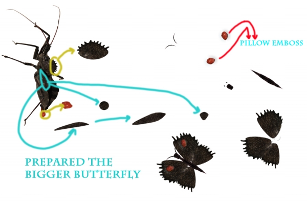 Creation of Bugs and Butterflies: Step 7